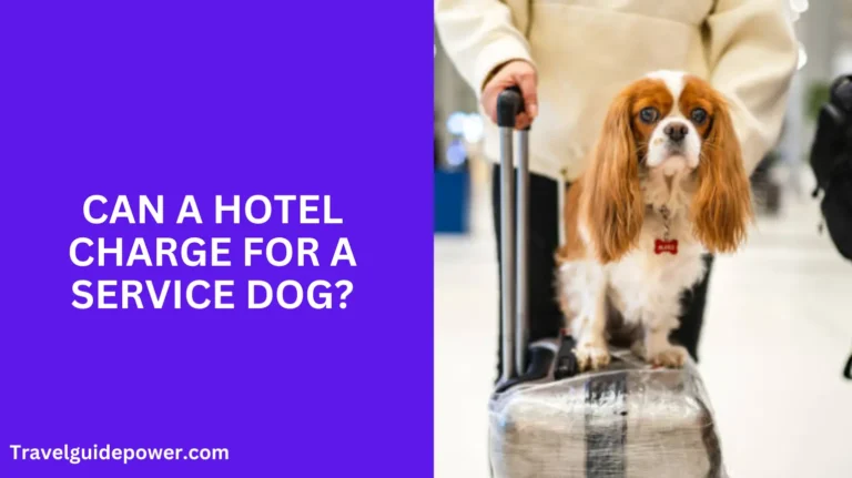 Can a Hotel Charge for a Service Dog